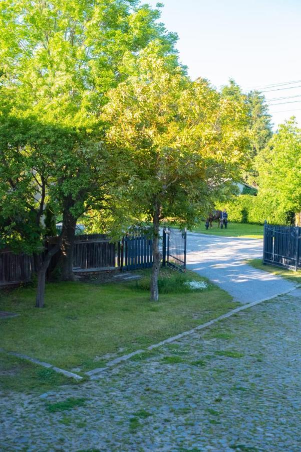 Hüttenrode Ferienhaus Brockenblick 빌라 외부 사진